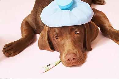 索尼官方拆解PS5 Pro 展示新科技以及细节